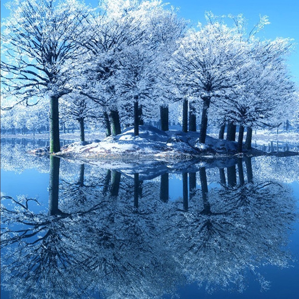 Meet your Posher, Diane